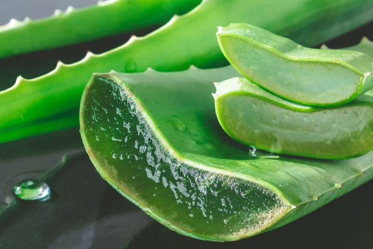 Aloe-vera-scrub