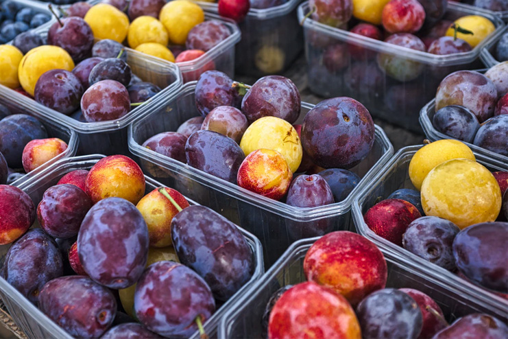 Plum