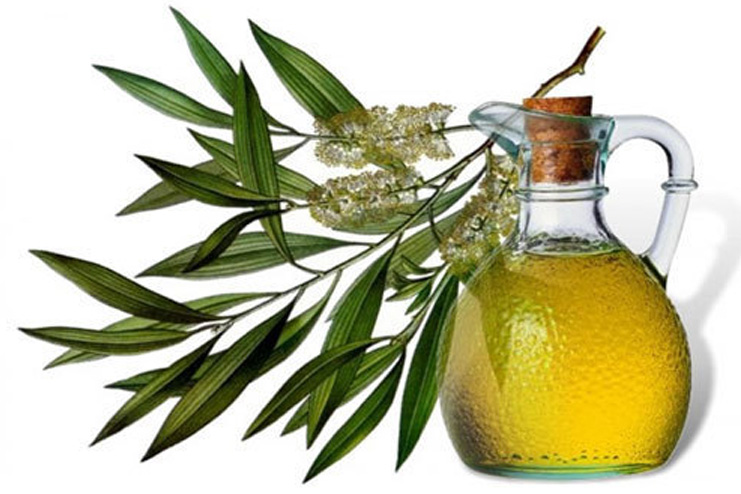 Tea-Tree-oil