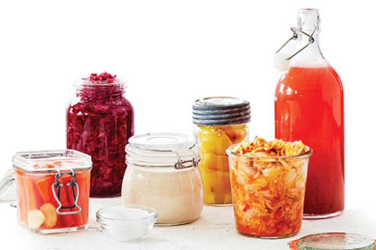 Fermented-foods