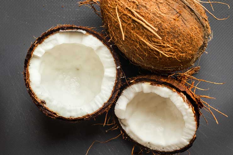 Coconut