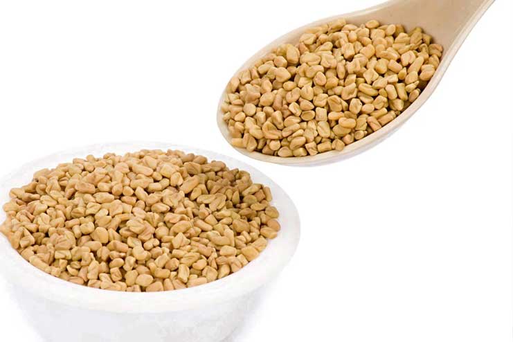 Fenugreek-seeds