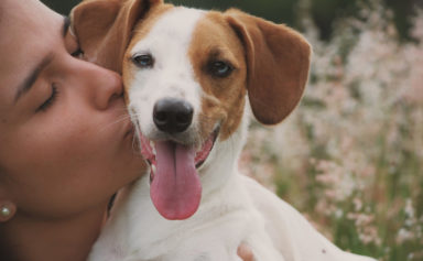 Dog-breeds
