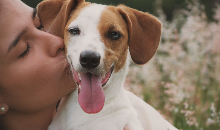 Dog-breeds