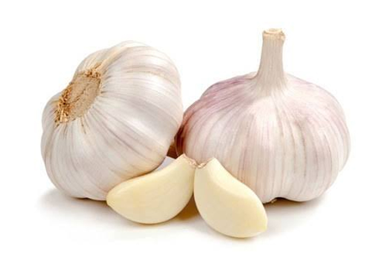 Garlic