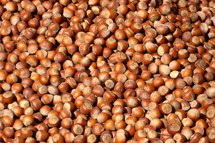 Hazelnuts