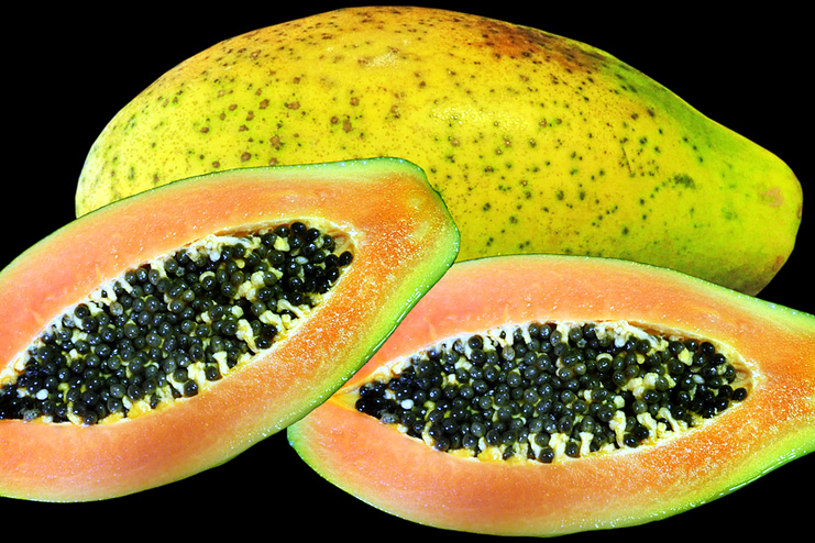 Papaya