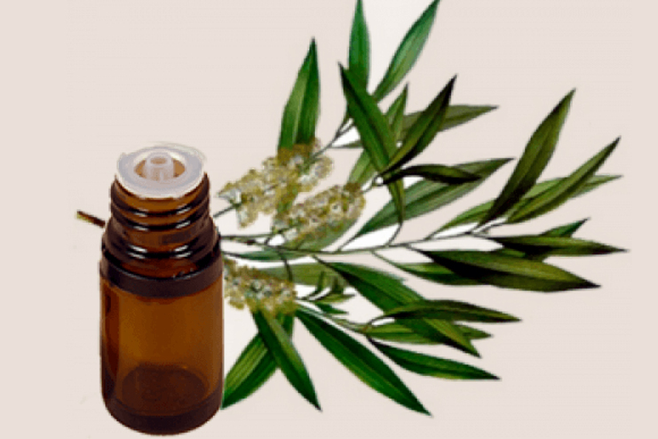 Tea-tree-oil