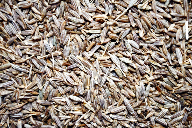Side effects of cumin seeds